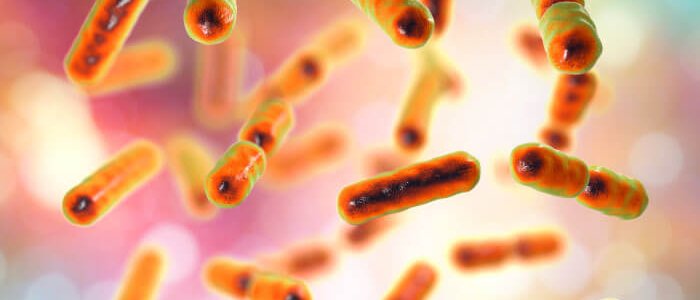 Microbiome balance – what does it mean? Why is it so important?