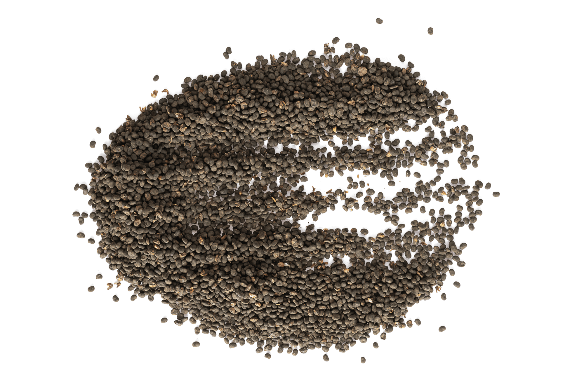 bakuchiol, a skincare ingredient used in LABRAINS products