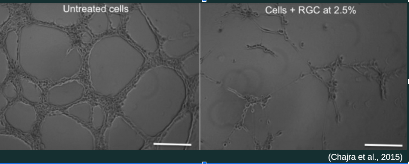 image of skin cells with microtears before and after using labrains skincare products