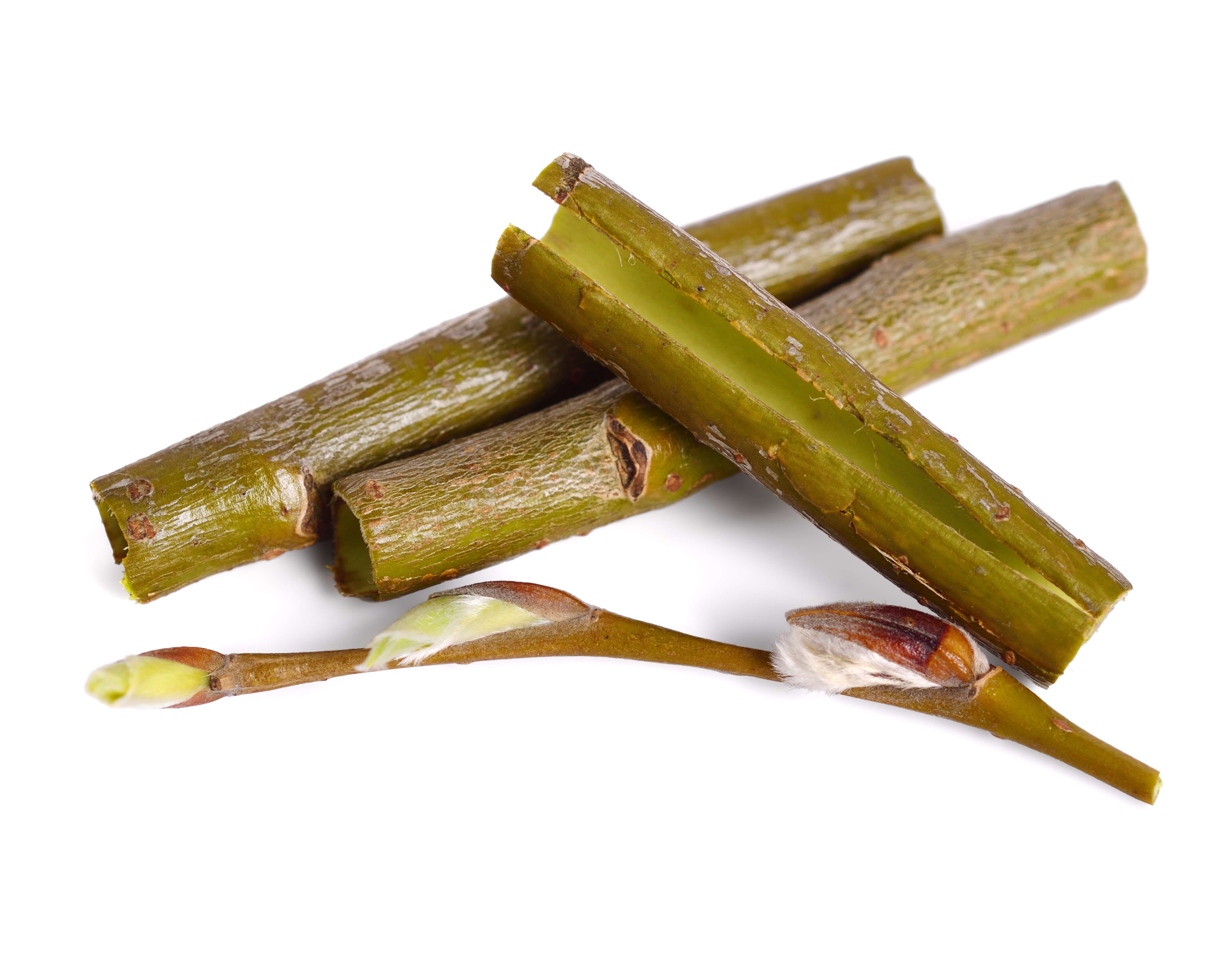 Salix Alba (White Willow) Bark Extract