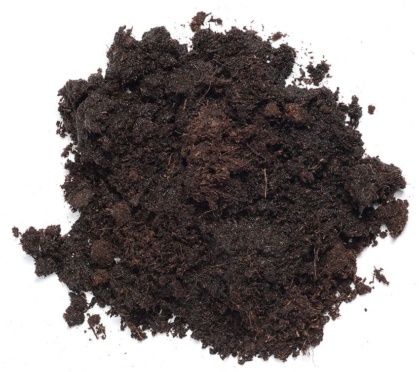 Peat extract, a skincare ingredient used in LABRAINS products