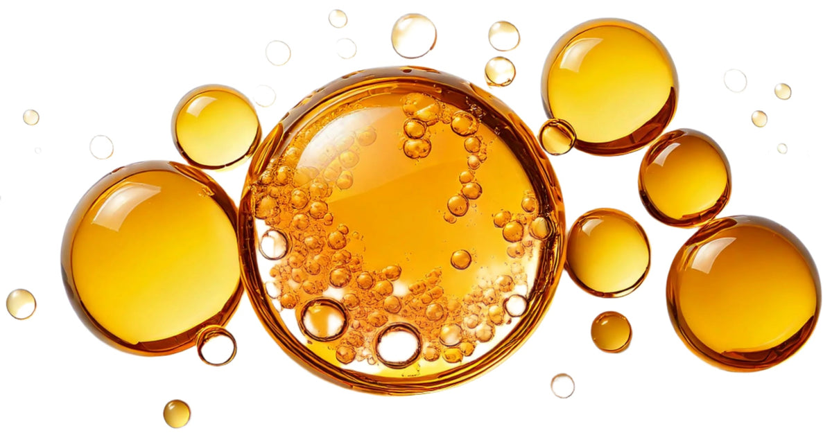 Ceramides, a skincare ingredient used in LABRAINS products