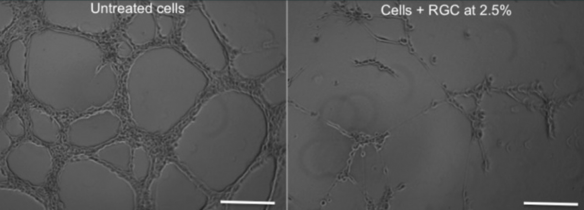 image of skin cells with microtears before and after using labrains skincare products