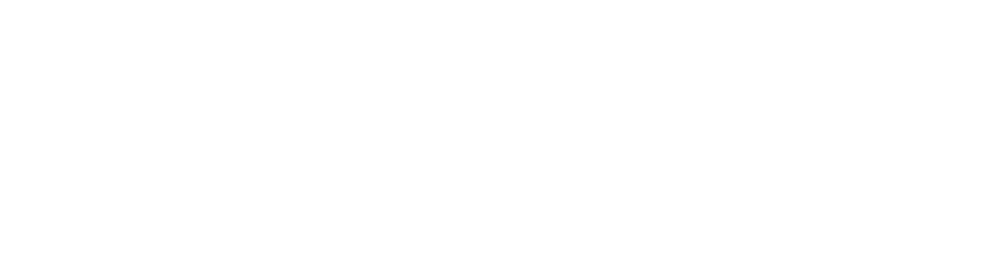 LABRAINS logo white on transparent background